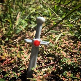 21435646_1033289153475224_3358944302720876544_n(1)